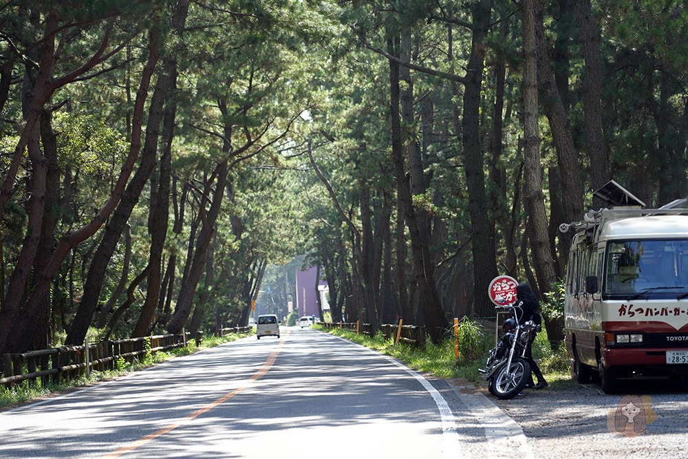 唐津-鏡山展望台-虹之松原