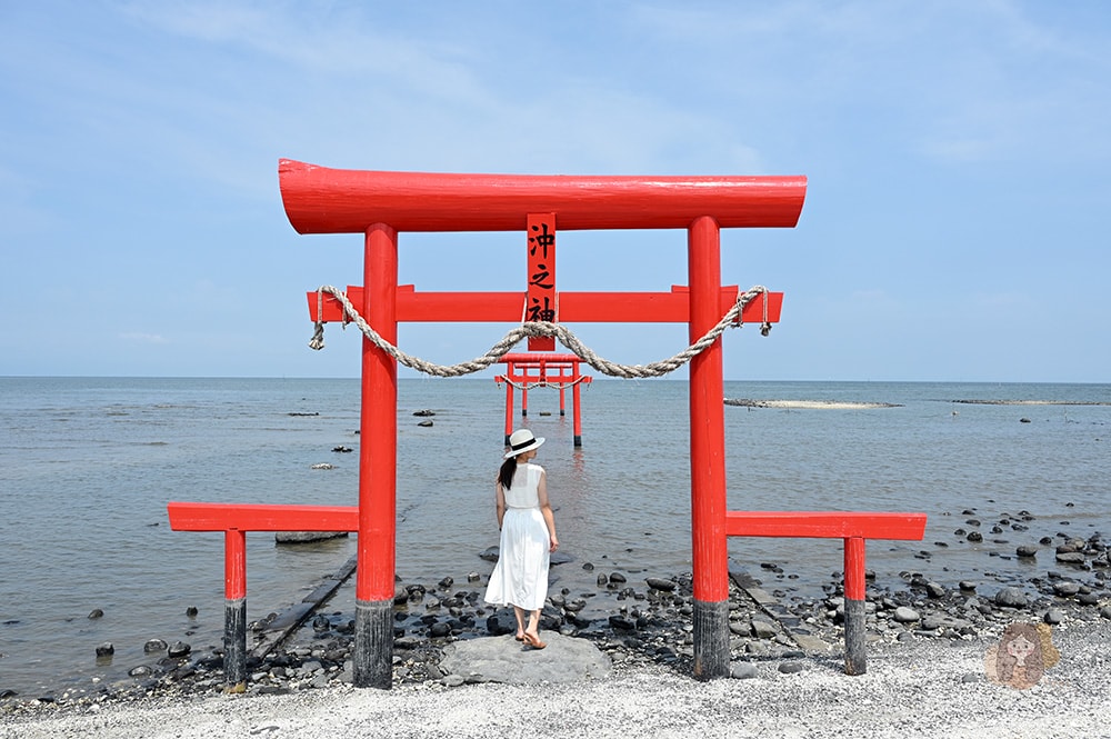 佐賀大魚神社海中鳥居