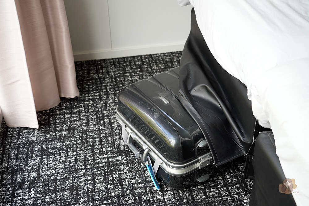 歐洲河輪 塞納河