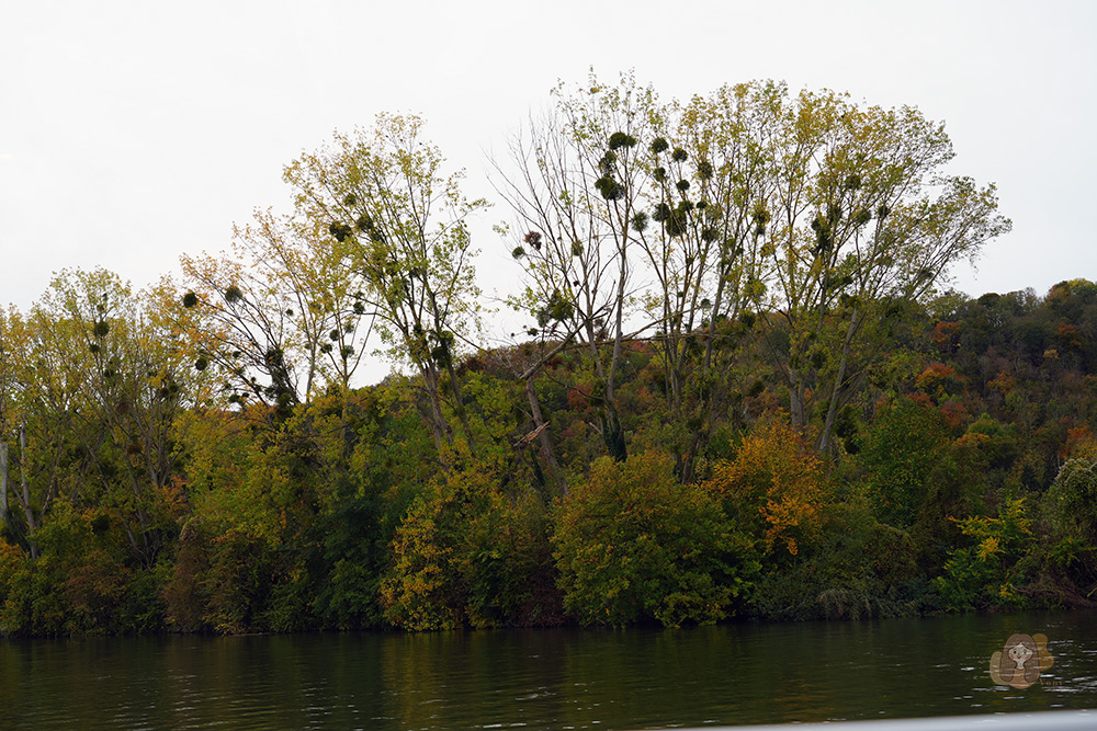 歐洲河輪 塞納河
