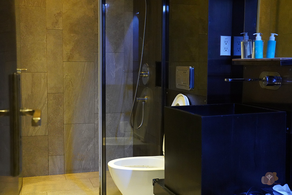 中華航空桃園機場貴賓室-China-Airlines-Lounge