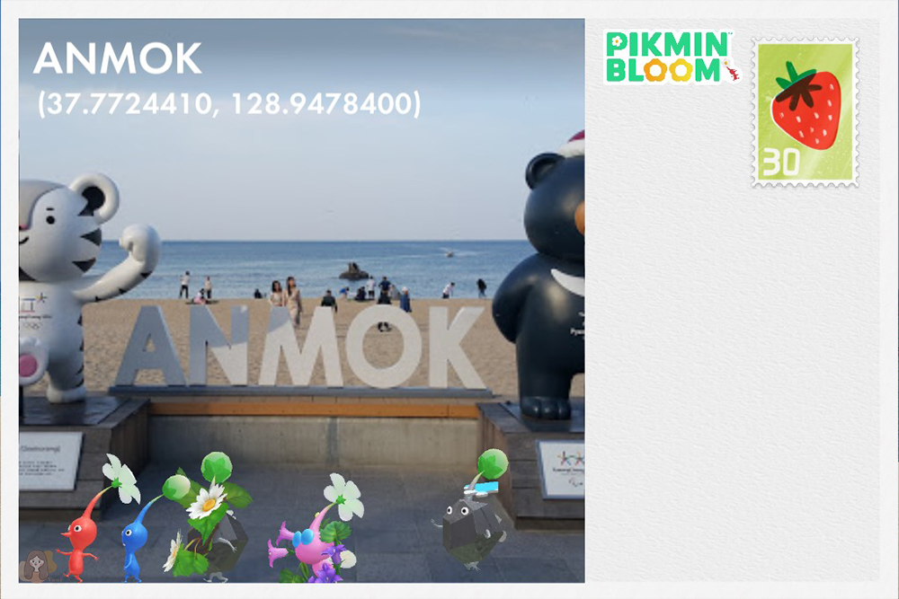安木海邊-안목해변-Anmok-Beach