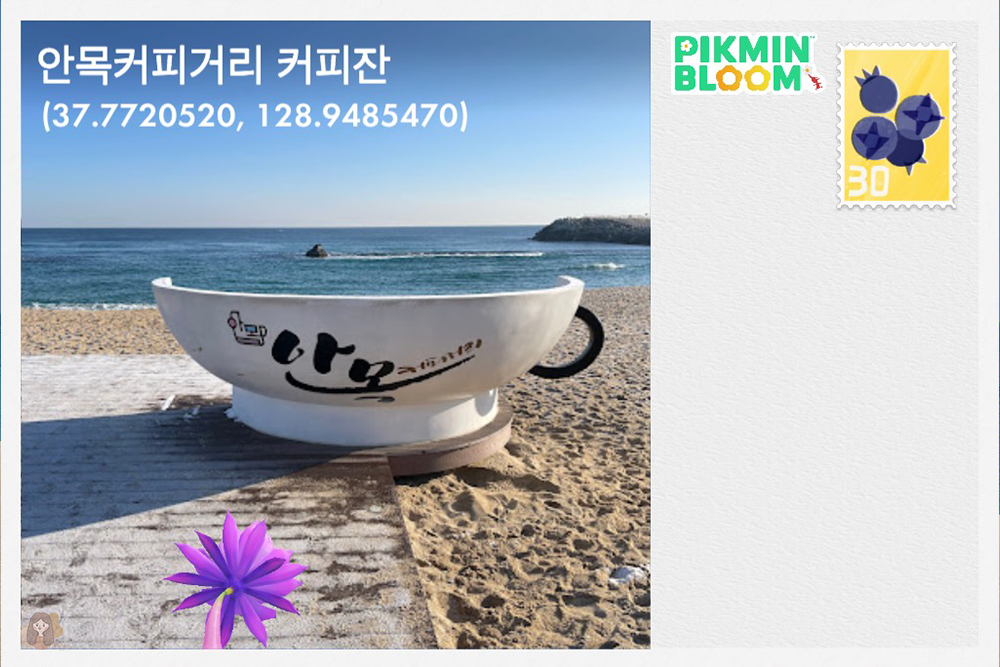 安木海邊-안목해변-Anmok-Beach