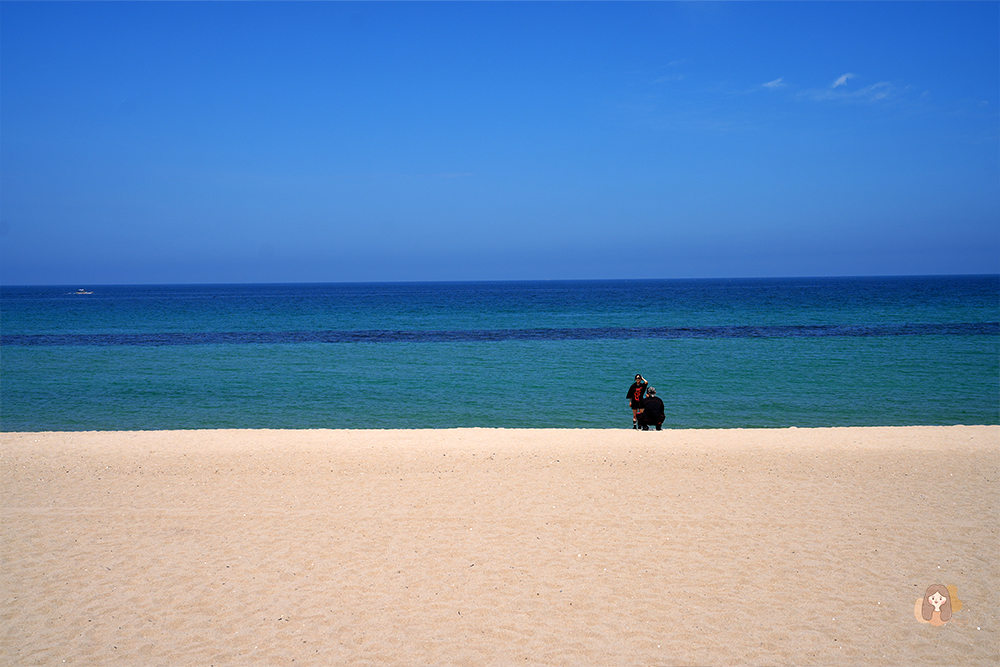 江原道安木海邊 안목해변,韓國東部的一片絕美果凍藍海岸,氣氛爆表 - 第7張圖 安木海邊-안목해변-Anmok-Beach
